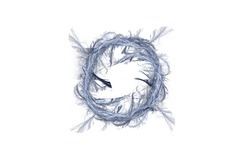 2014 05 04 Test 4 9991-white.jpg